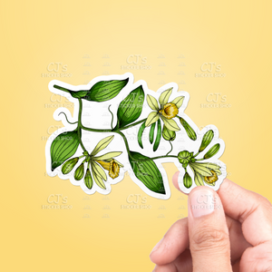 Vanilla Orchid Flower Sticker