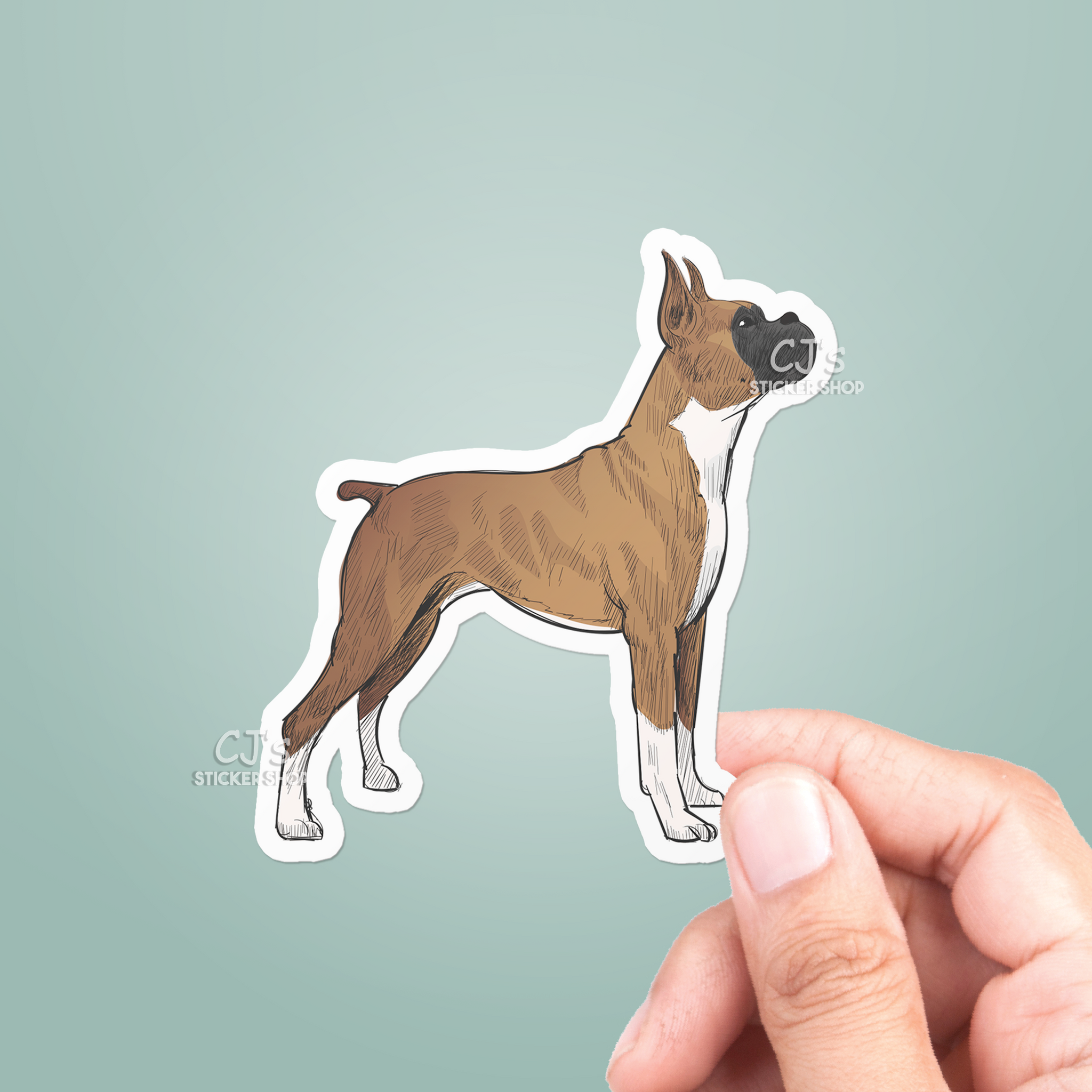 Boxer Drawing Sticker