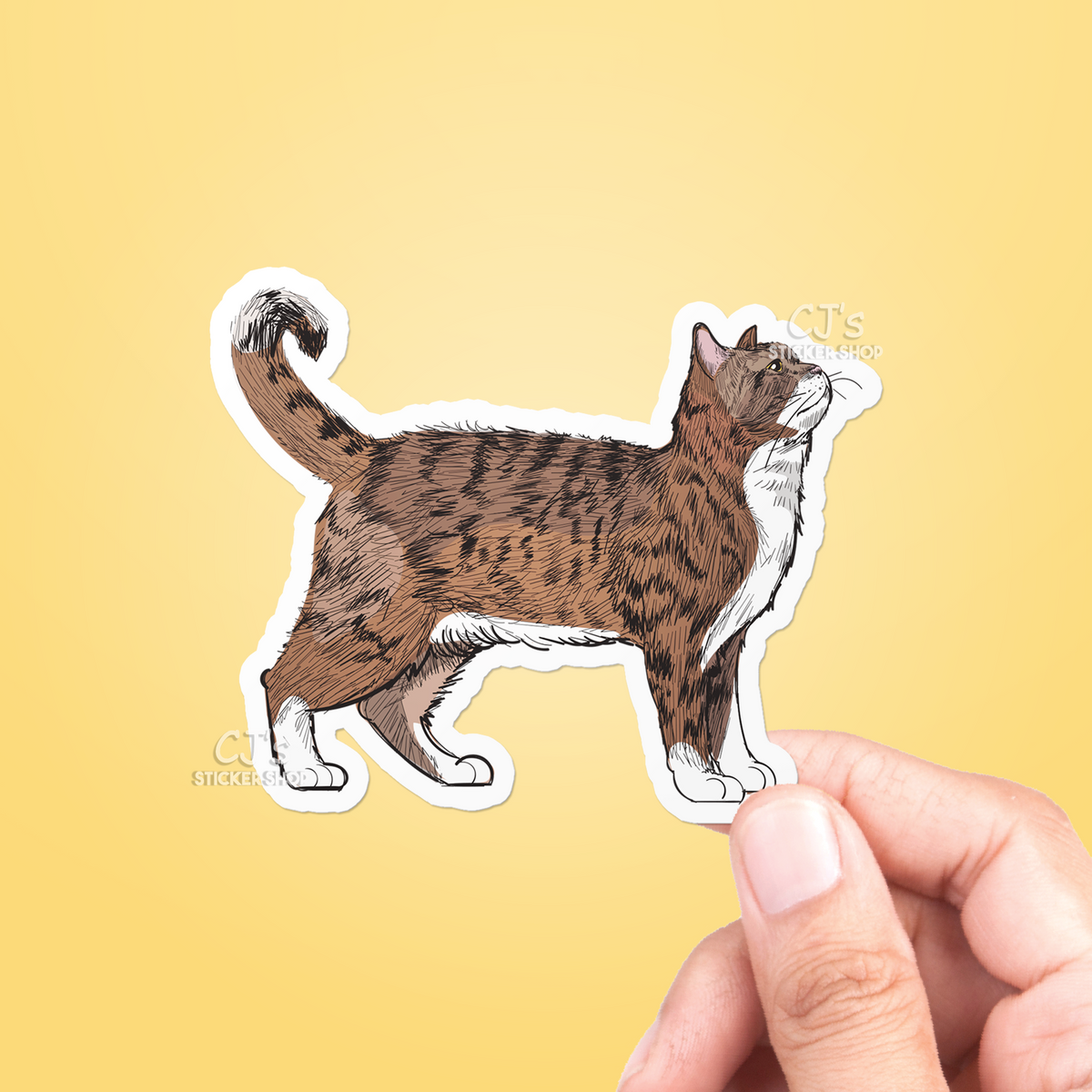 Sticker Easy Draw Cat Cat Drawing Sticker – CJ's Sticker Shop