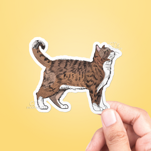 Cat Drawing Sticker
