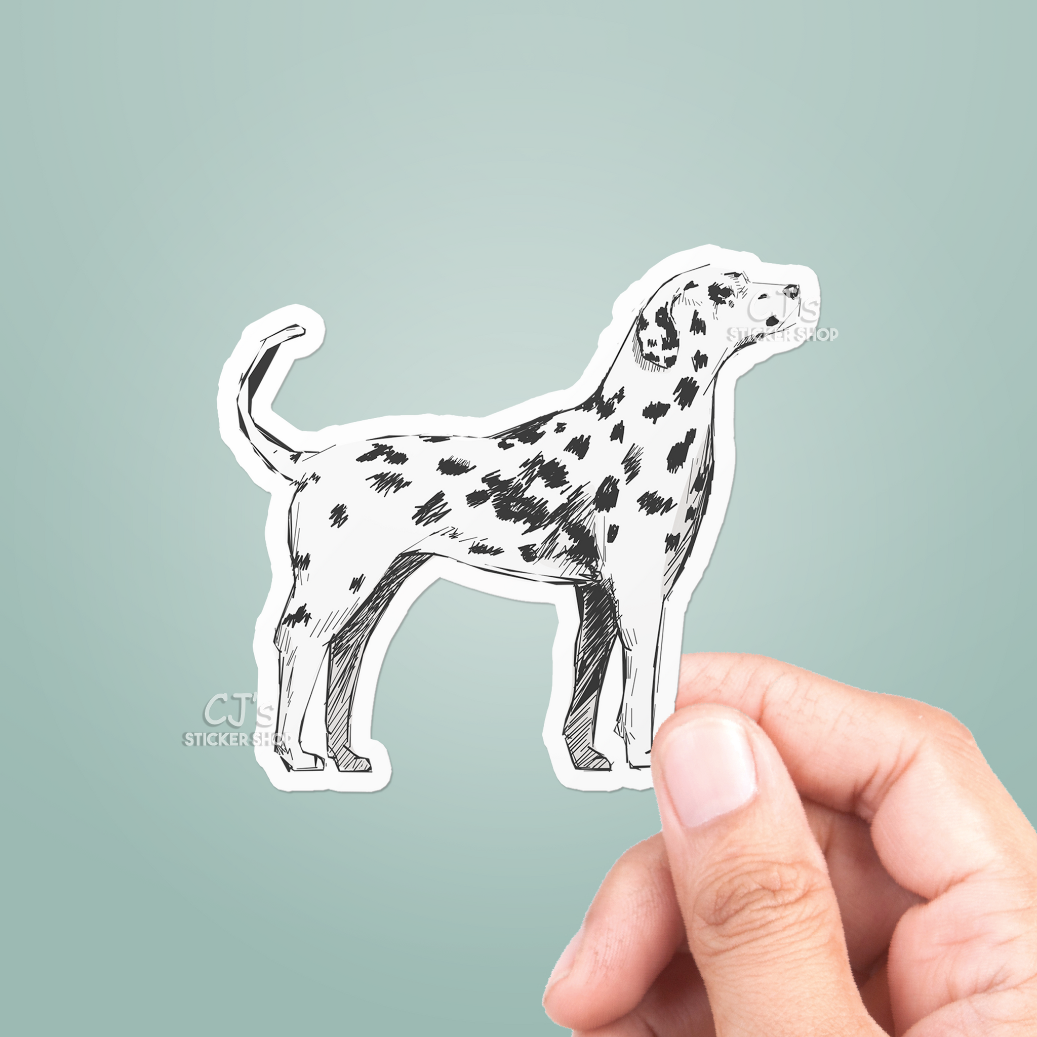 Dalmatian Drawing Sticker