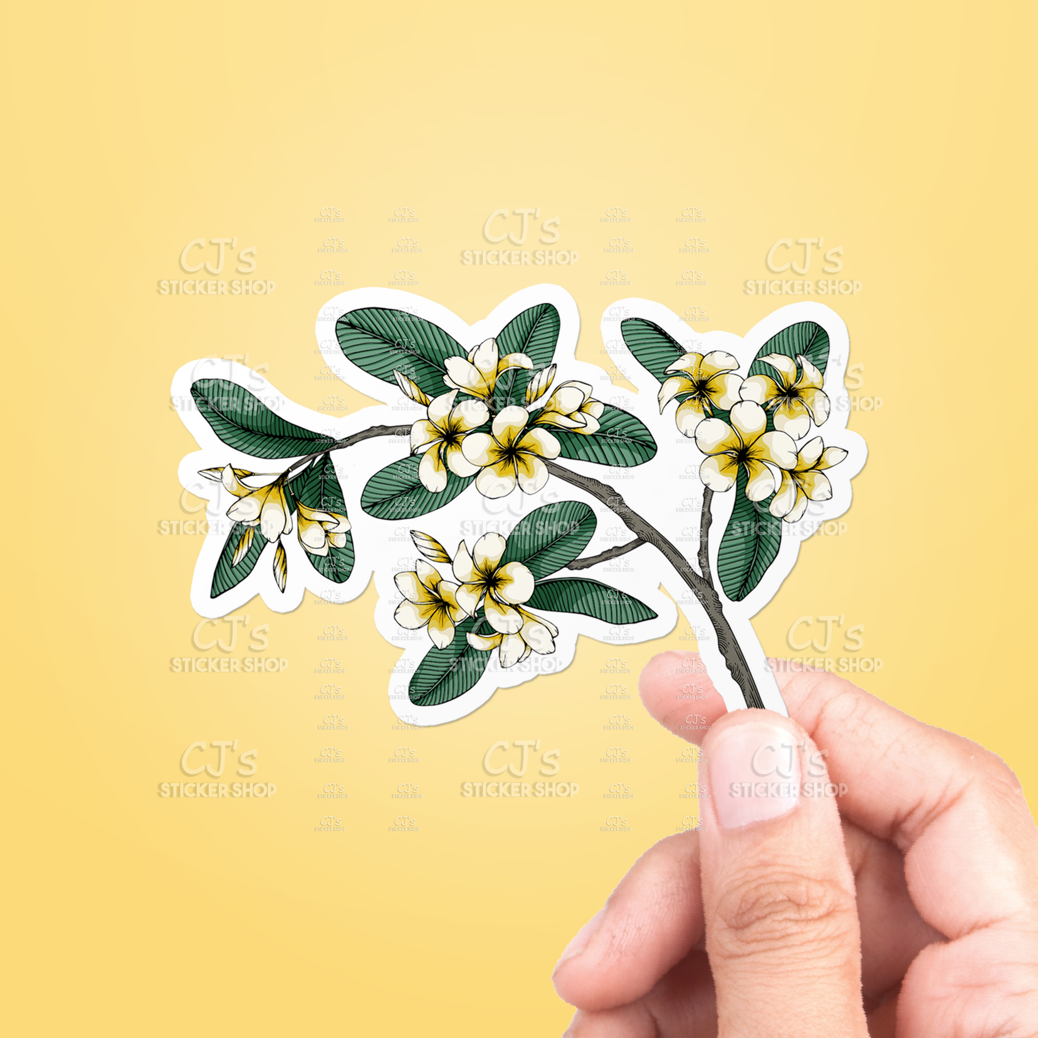 Plumeria Flower Sticker