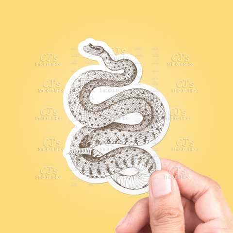 Rattlesnake Sticker
