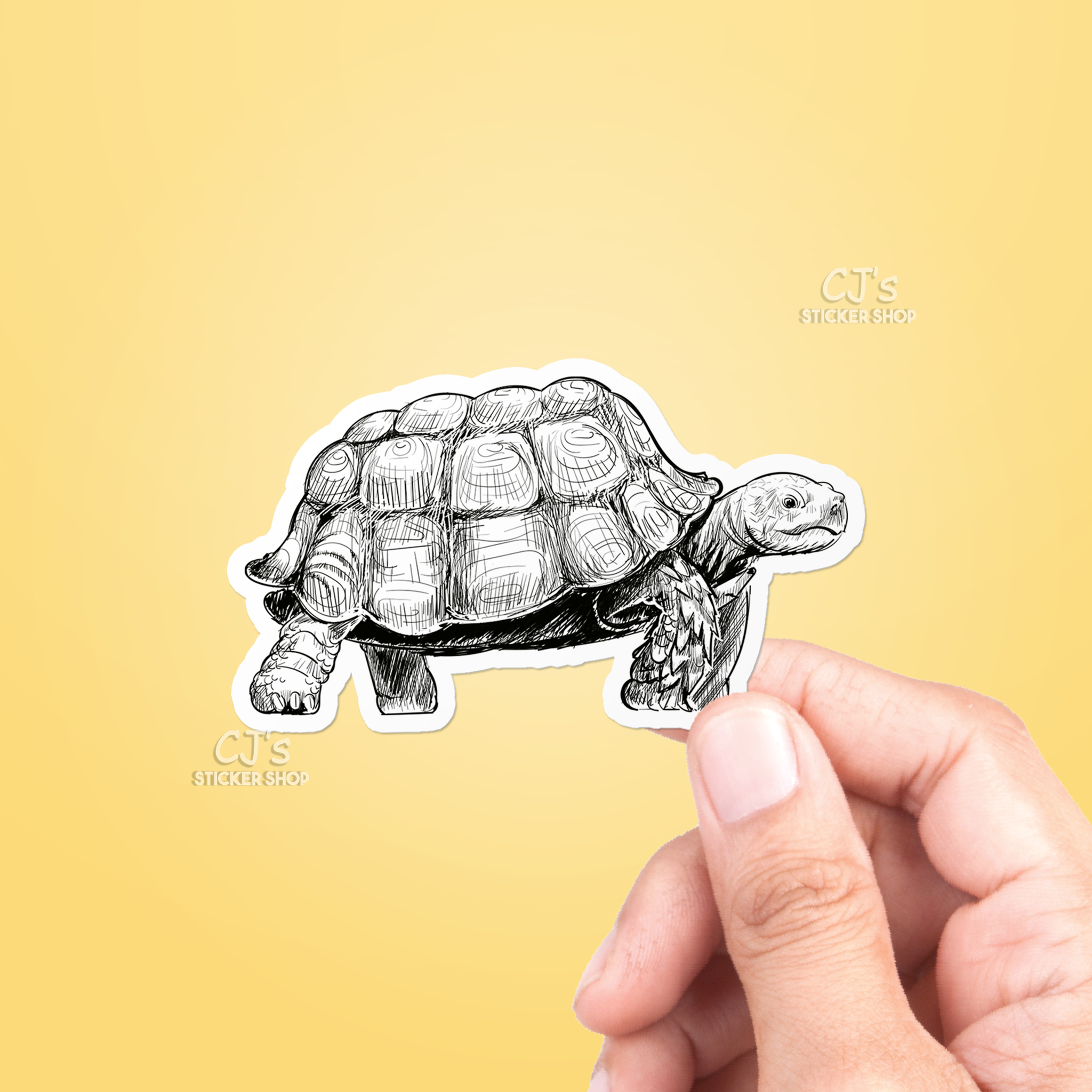Turtle Drawing Sticker