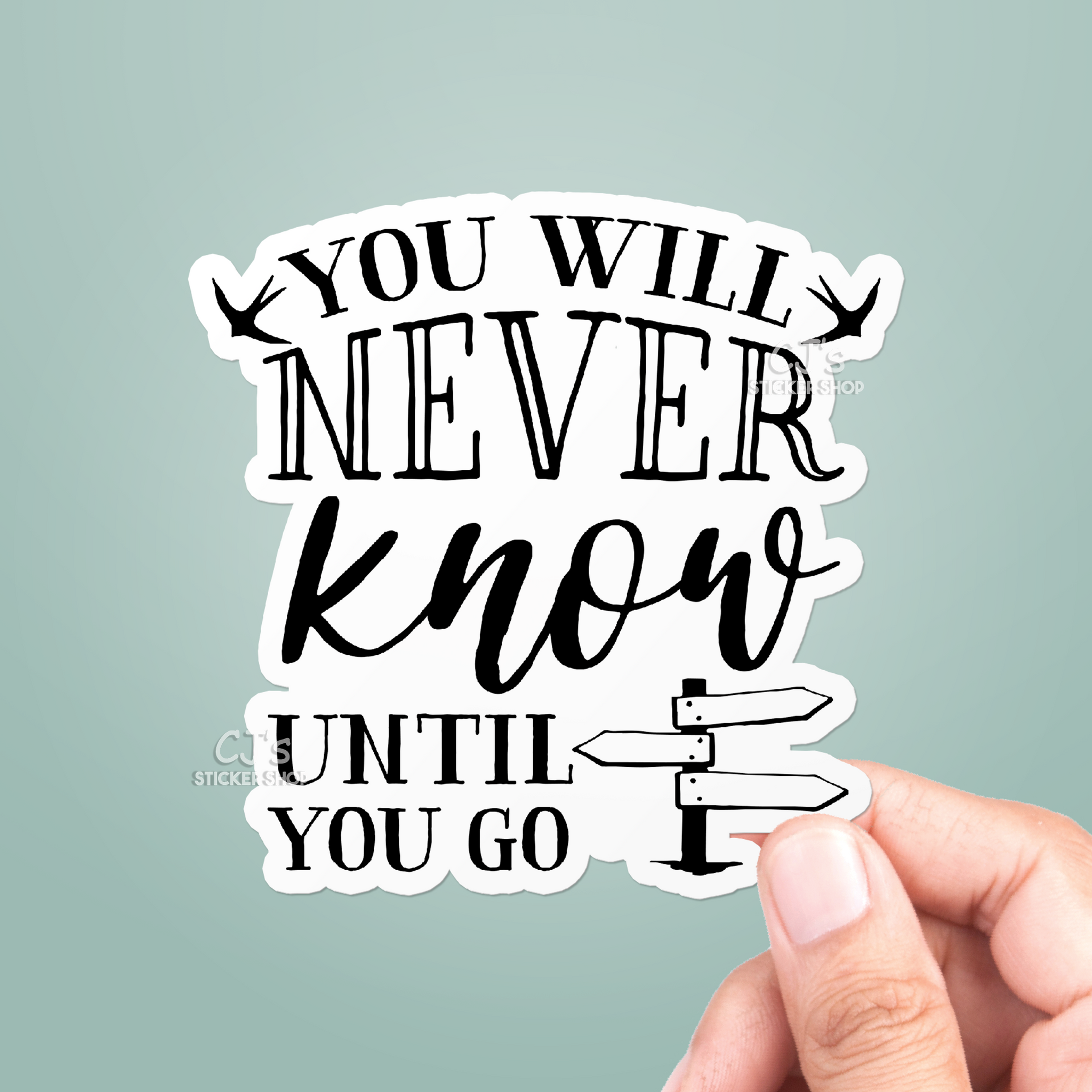 You Will Never Know Until You Go Sticker
